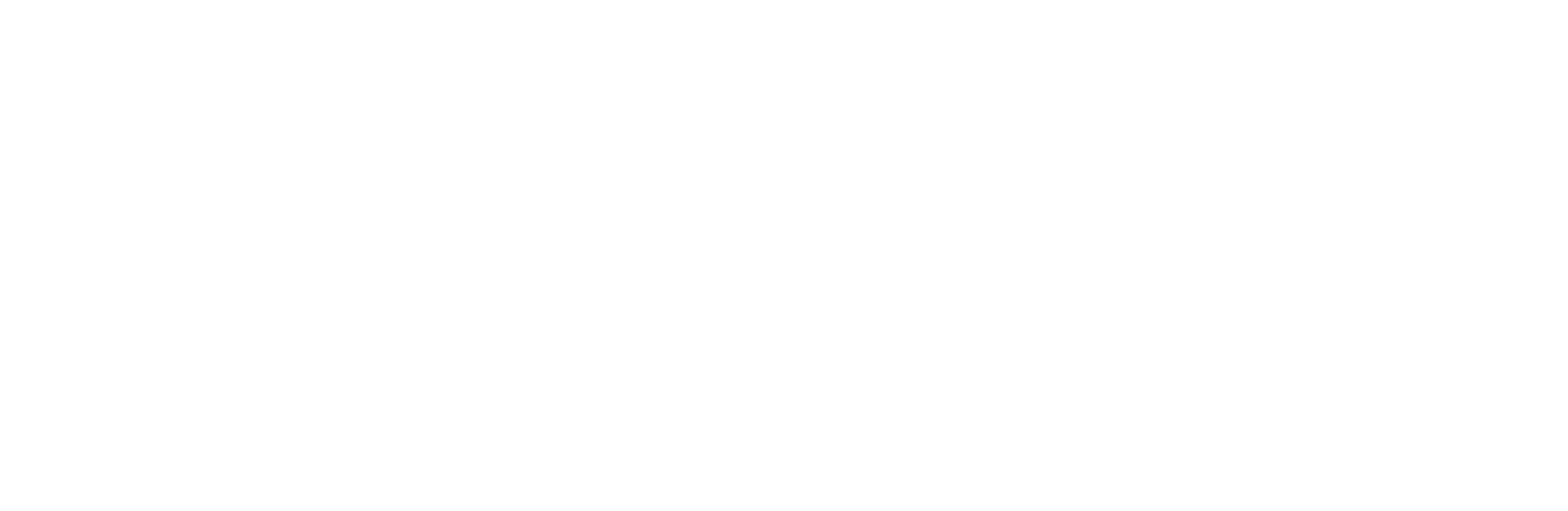 Christin Logo White